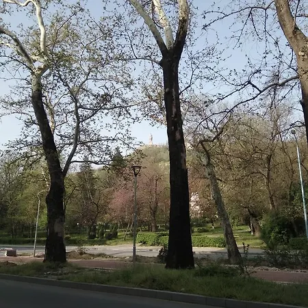 ホステル Ginger House