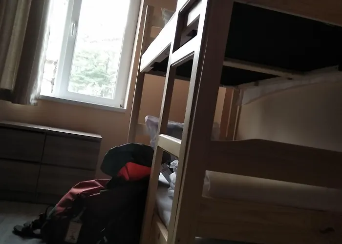 Hostel Ginger House *