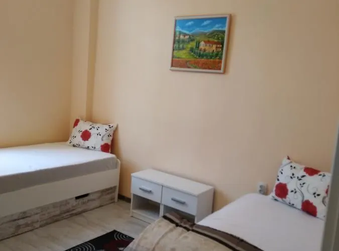 Ginger House Hostel *