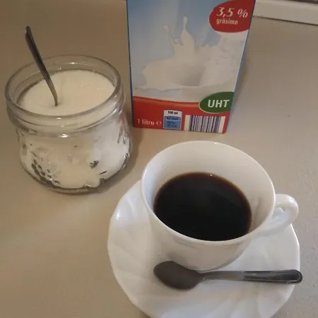 Ginger House Hostel *