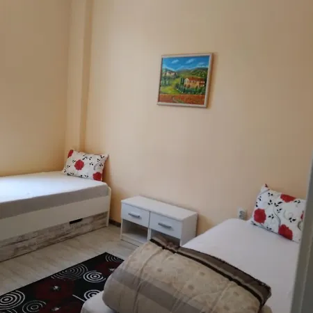 Ginger House Hostel *