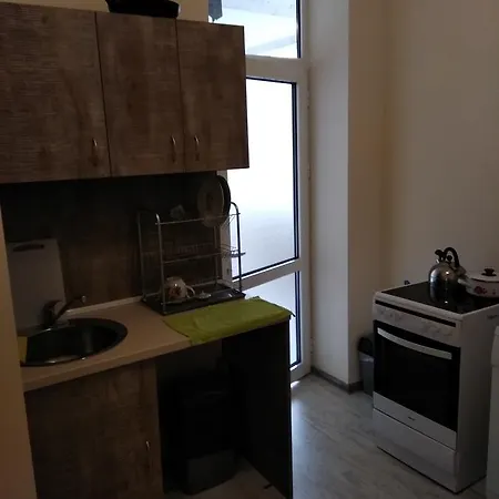 Hostel Ginger House *