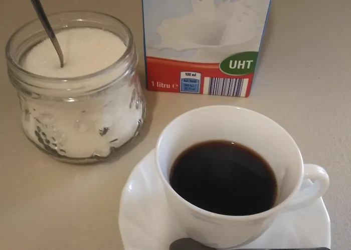 Ginger House Hostel *